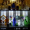 Bottle Collection