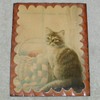 Ruane Manning - Cat Plaques