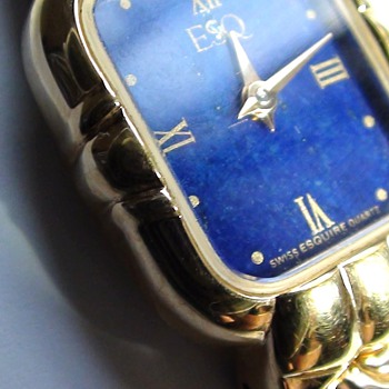 ESQ MOVADO BLUE GEMSTONE UNKNOWN AGE we can use some Help - Wristwatches