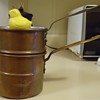 Eggs! Soft, Medium, or Hard 1932 Copper singing chick!  Pot!!