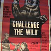 Vintage Movie Poster "Challenge The Wild" Wild Alaska