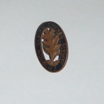 WW2 6th EN Battalion screw back DUI