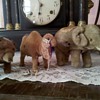 Vintage mohair & tin wind-up Circus Animals...1930's??