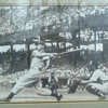 joe di maggio  picture