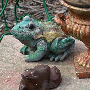 So many frogs! [so little time] - Animals