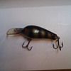 My mysterious rapala pattern