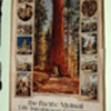 1924 Pacific Mutual Life Insurance Company Calendar
