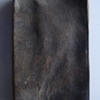 Diurnale Parvum