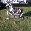 1961 Mattel Rocking Horse "BLAZE"