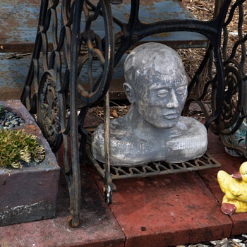 Growing 'Head' or Bust Collection