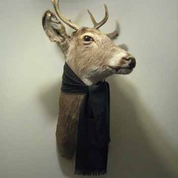 DEER DECOR FOR MY OFFICE  (REPOST)