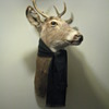 DEER DECOR FOR MY OFFICE  (REPOST)