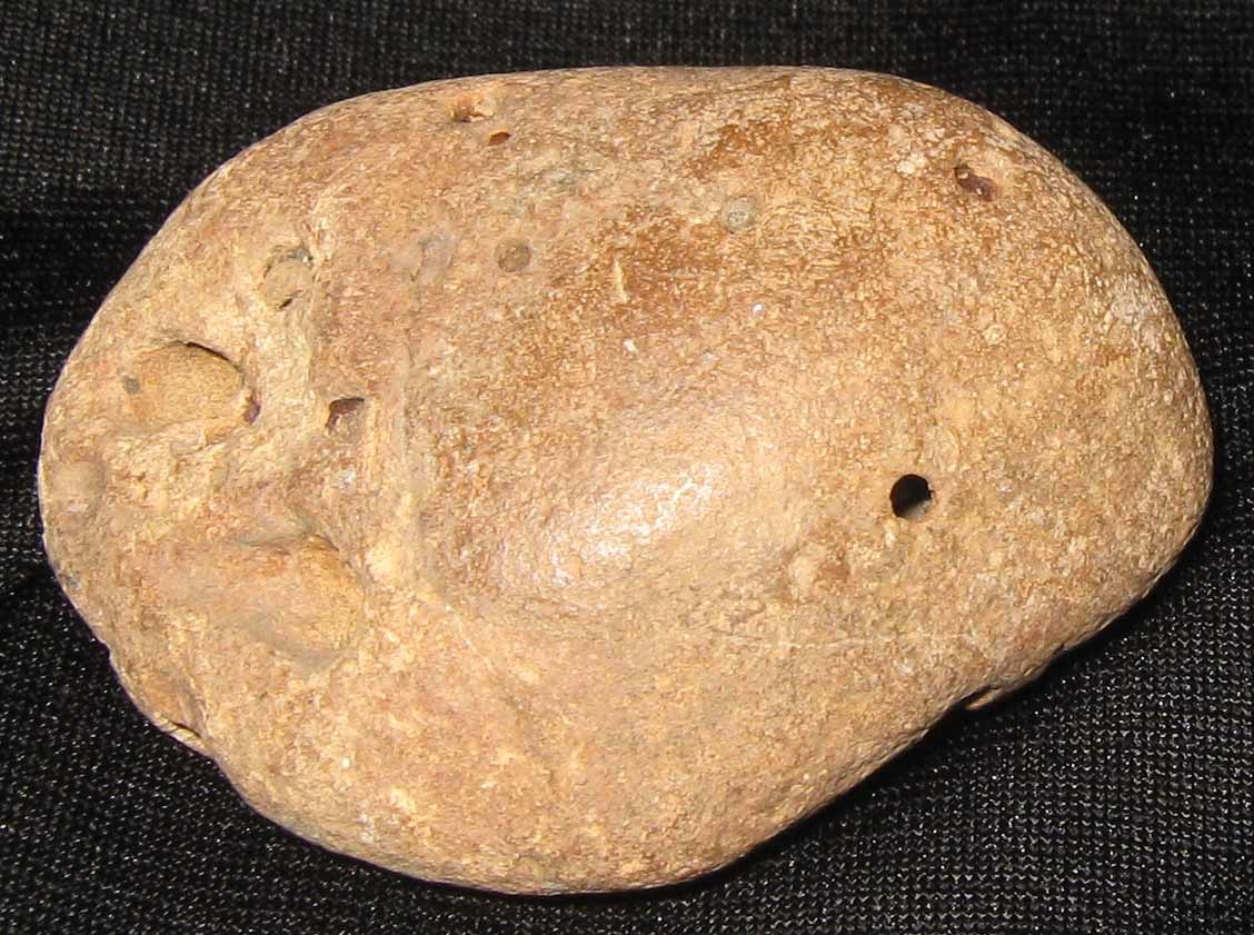 Ancient Mysterious Termite or Ant Hole Fossils Rock Stone Collectors