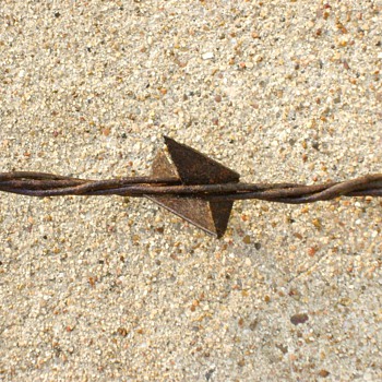 BOBBED WIRE