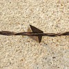 BOBBED WIRE