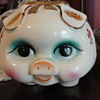 Blue eyed pig