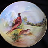Aynsley fine art collection bowl