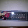 Temperature gauge