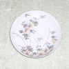 Porcelain cup saucer hand-painted floral