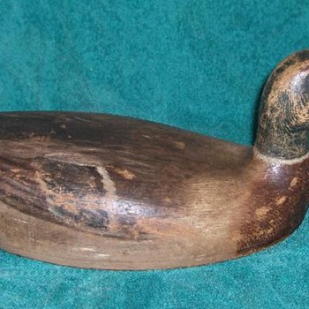 W H Hart mallard drake, c. 1920