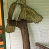 antique carved cockatoo?  maybe an entrance sign?