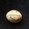 Beautiful Italian Cameo