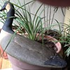 Goose Decoy Information Requested