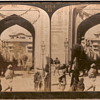 Elephant stereoscopic picture