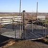 childhood merry-go-round