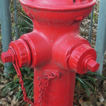 1895 Corey Fire Hydrant 