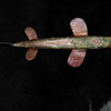  old folk art spear fishing/ice  decoy 