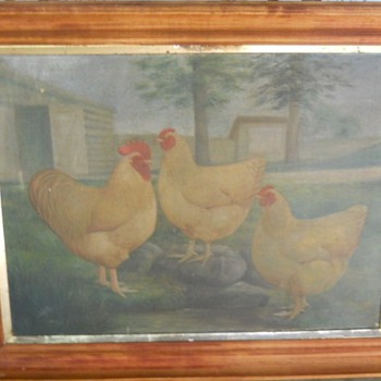 chicken picture 