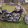 1982 Harley Davidson FXR