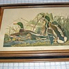 Audobon Print