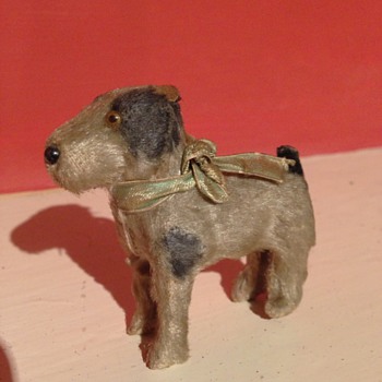 A old tiny little dog "3 Inches high"