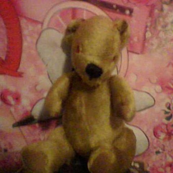 GOLDEN BEAR WITH RED EYES