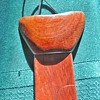Wooden Tie from 1979 