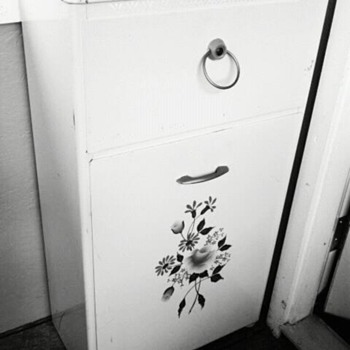 Trash bin or produce bin? - Kitchen