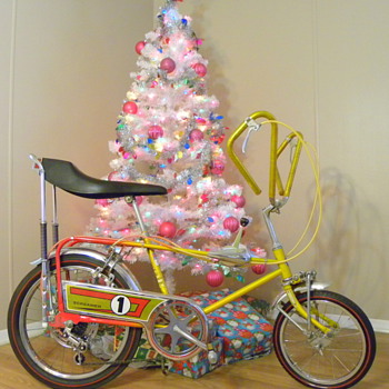 1971 Sears Screamer 
