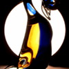 Murano bird by Cimarosti & Pinzan 