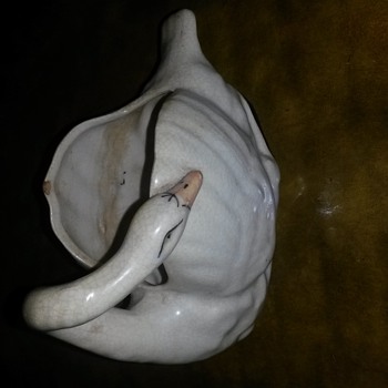Beautiful Dusty Swan - Animals