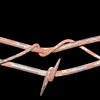 rare barbed wire