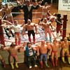 Wrestling action figures 