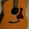 Taylor 510  