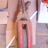 Ship's pulley