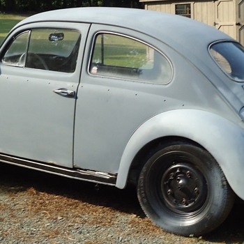 My 63 vw beetle