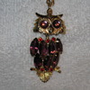 Unmarked Owl