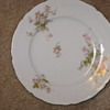 Bread plate? Tea cup plate? Help!!!