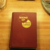 Round Up, by Ring Lardner