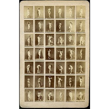 Early Cabinet Card - 42-Image Nude Study - Photographs